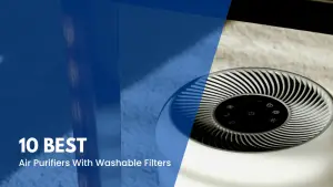 10 Best Air Purifiers With Washable Filters To Buy.