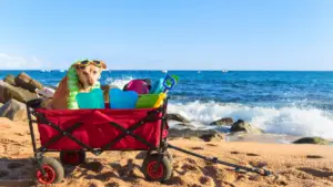 Beach Carts With Balloon Tires