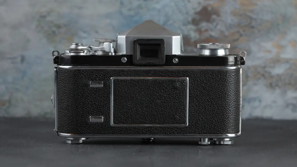 film cameras for beginners