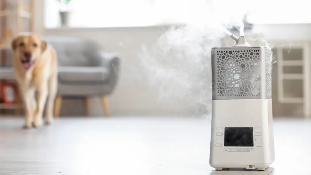 humidifiers and air purifiers