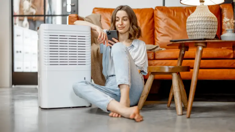 How Do Air Purifiers Help with Dust
